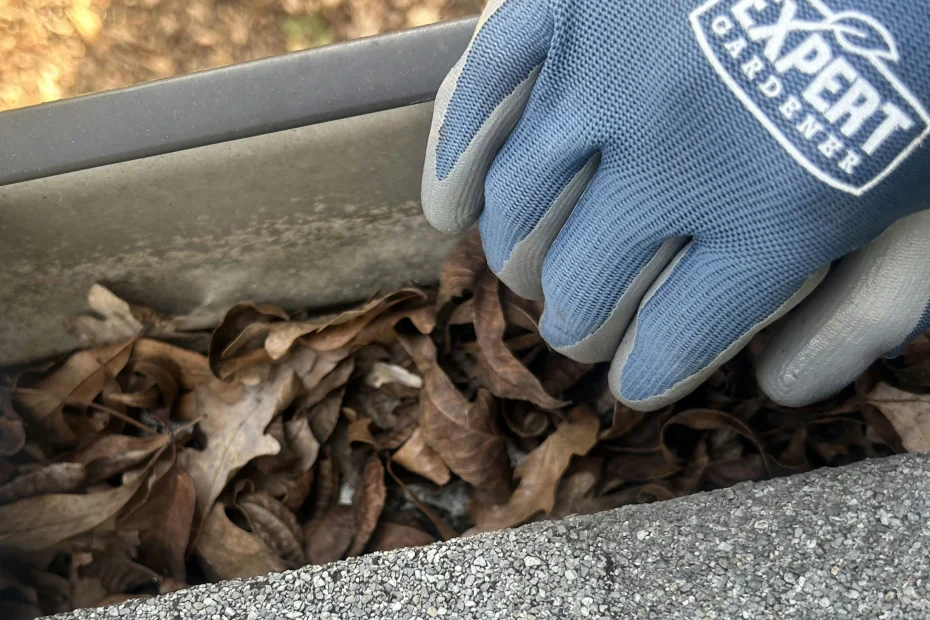 Gutter Cleaning Lexington SC