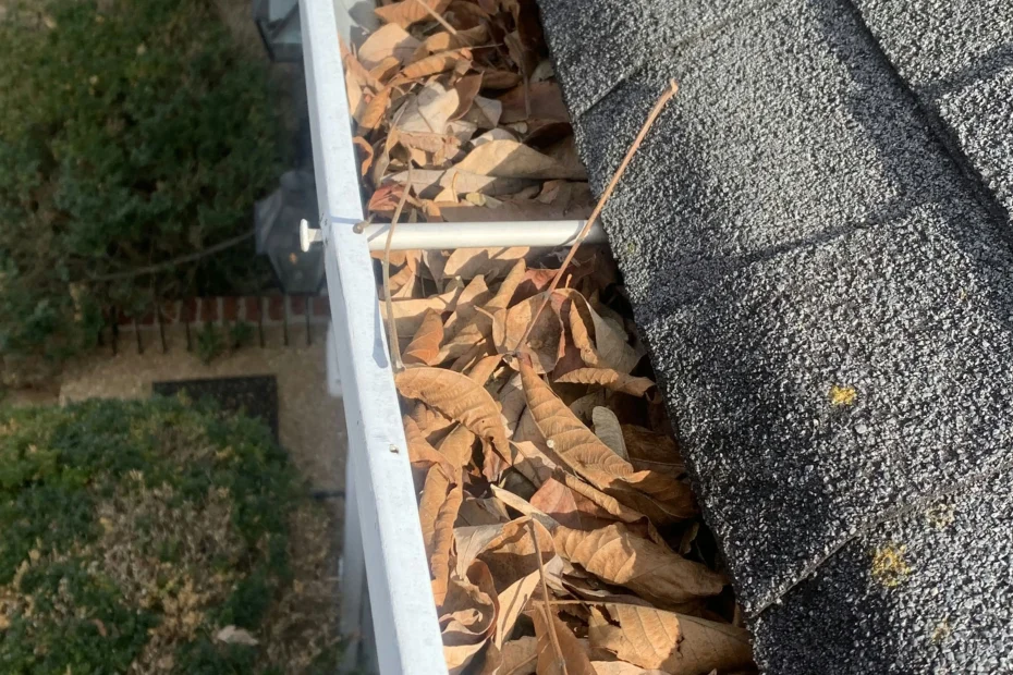 Gutter Cleaning Lexington SC