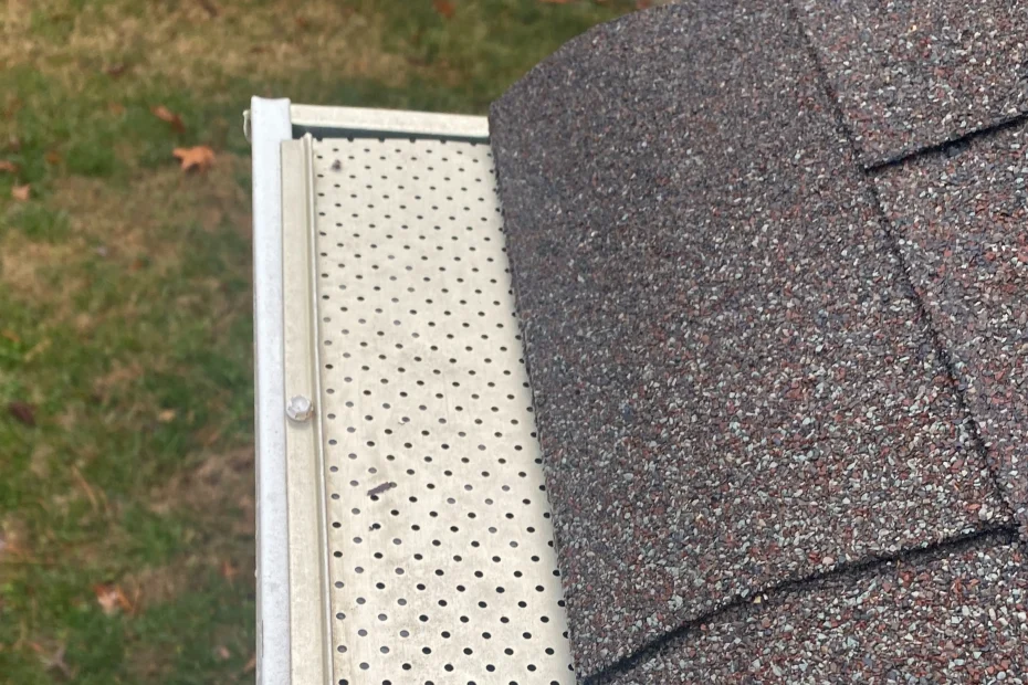 Gutter Cleaning Lexington SC