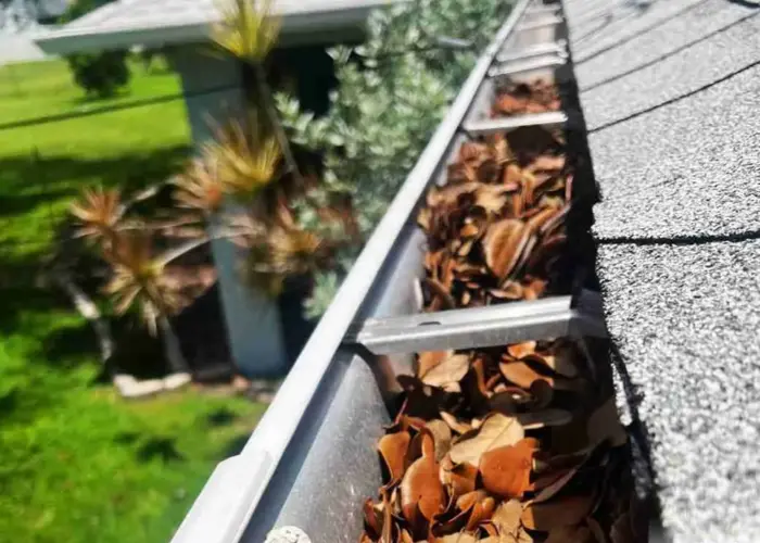 Gutter Cleaning Lexington SC home page